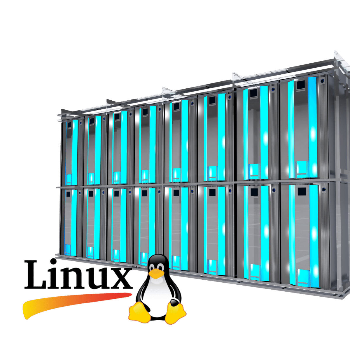 Linux hosting ssd