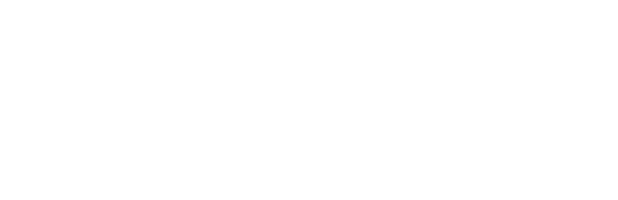 nexi.webp