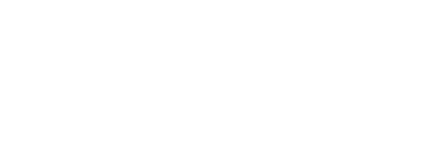 visa.webp