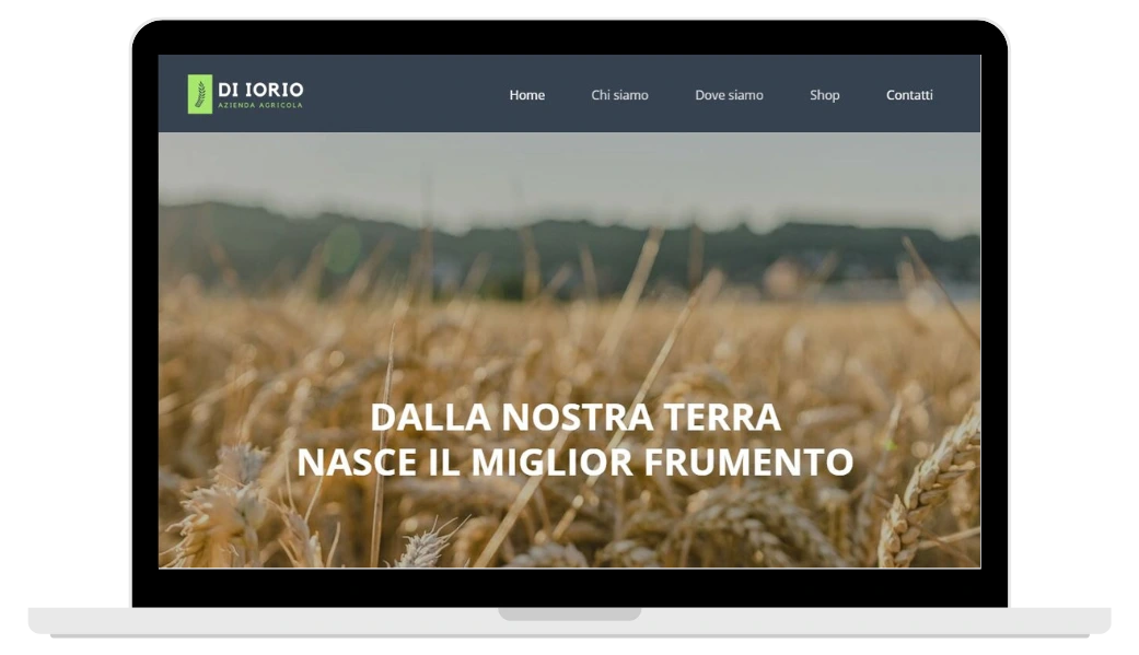 ecommerce-diorio.webp